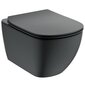 Seinale paigaldatav varjatud kinnitusega WC pott TESI (Aquablade), matt must, Ideal Standard цена и информация | WС-potid | kaup24.ee