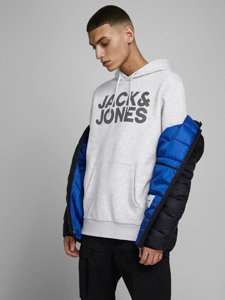 JACK & JONES meeste dressipluus 12152840*01, helehall hind ja info | Meeste pusad | kaup24.ee