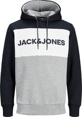 JACK & JONES meeste dressipluus 12172344*01, tumesinine/valge hind ja info | Meeste pusad | kaup24.ee
