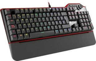 Genesis NKG-1793 цена и информация | Клавиатура с игровой мышью 3GO COMBODRILEW2 USB ES | kaup24.ee