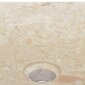 vidaXL valamu, kreemjas, 50 x 35 x 10 cm, marmor hind ja info | Kraanikausid, valamud | kaup24.ee