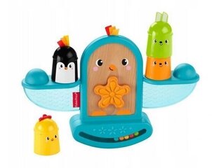 Tasakaalu mänguasi Fisher-Price GJW26 hind ja info | Imikute mänguasjad | kaup24.ee