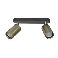 Nowodvorski Lighting laevalgusti Eye Spot Brass 8817 hind ja info | Laelambid | kaup24.ee