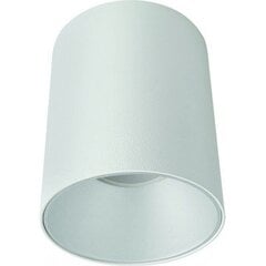 Nowodvorski Lighting потолочный светильник Eye Tone White/White 8925 цена и информация | Потолочные светильники | kaup24.ee