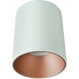 Nowodvorski Lighting laevalgusti Eye Tone White/Silver 8926