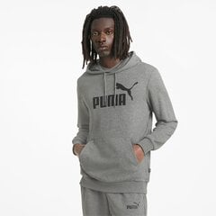 Мужская толстовка Puma 586688*03, серая 4063697318571 цена и информация | Мужская спортивная одежда | kaup24.ee