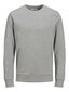 JACK & JONES meeste dressipluus 12136886*02, helehall hind ja info | Meeste pusad | kaup24.ee