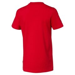 Laste vabaaja T-särk Puma Rebel Bold Tee B Cotton hind ja info | Poiste särgid | kaup24.ee