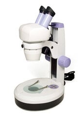 Микроскоп Levenhuk 5ST цена и информация | Телескопы и микроскопы | kaup24.ee