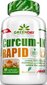 Amix Nutrition GreenDay® Curcum-IN Rapid 60 kapslit hind ja info | Vitamiinid, toidulisandid, preparaadid tervise heaoluks | kaup24.ee