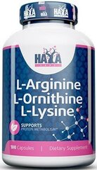 Haya Labs L-arginiin L-ornitiin L-lüsiin 100 kapslit цена и информация | Витамины, пищевые добавки, препараты для хорошего самочувствия | kaup24.ee