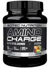 Диетическая добавка Scitec Nutrition Amino Charge, 570 г цена и информация | Аминокислоты | kaup24.ee