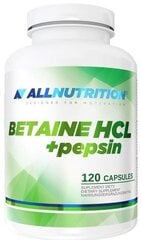 Пищевая добавка AllNutrition Betaine HCL pepsin, 120 капсул цена и информация | Витамины, пищевые добавки, препараты для хорошего самочувствия | kaup24.ee