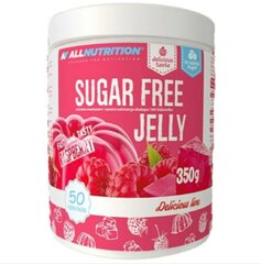 Желе без сахара AllNutrition Sugar free Jelly strawberry, 350 г  цена и информация | Функциональные продукты питания (суперфуд) | kaup24.ee