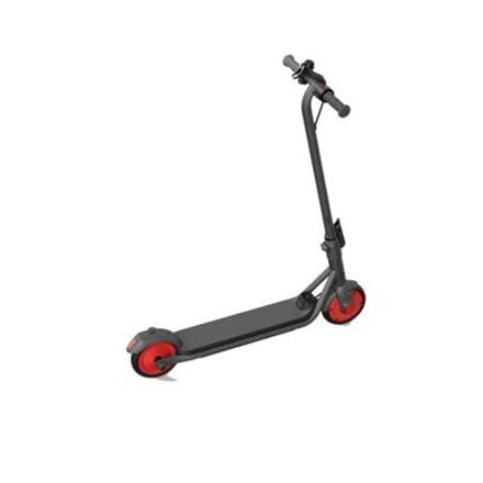 Segway AA.00.0011.54 hind ja info | Elektritõukerattad | kaup24.ee