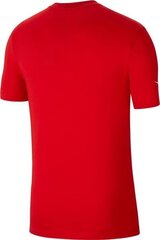 Мужская футболка Nike Park 20, красная цена и информация | Мужские футболки | kaup24.ee
