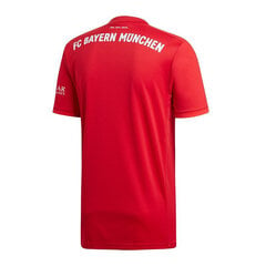 Футболка мужская Adidas FC Bayern Home Jsy DW7410, красная цена и информация | Мужские футболки | kaup24.ee