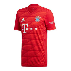 Meeste T-särk Adidas FC Bayern Home Jsy DW7410, punane hind ja info | Meeste T-särgid | kaup24.ee