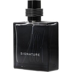 Nino Cerruti Cerruti 1881 Signature EDP meestele 100 ml hind ja info | Cerruti Jalanõud, riided ja aksessuaarid | kaup24.ee