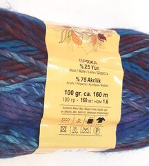 Нитки для вязания Lanoso Mistik 100 г, цвет 759 цена и информация | Принадлежности для вязания | kaup24.ee
