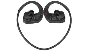 Juhtmevabad kõrvasisesed vee- ja ja tolmukindlad 4GB Sony Walkman® MP3 mängijaga kõrvakalpid, NWWS413B.CEW, must цена и информация | MP3 плеер, MP4 плеер | kaup24.ee