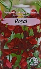 Lillhernes Royal, punane, 2 tk hind ja info | Lilleseemned | kaup24.ee