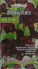 Цветочный горошек Beaujolais, 2 шт. цена и информация | Семена цветов | kaup24.ee