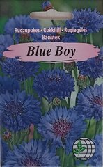 Василёл Blue Boy, 2 шт. цена и информация | Семена цветов | kaup24.ee