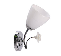 Candellux настенный светильник Ariam цена и информация | Настенные светильники | kaup24.ee