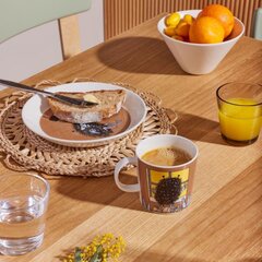 Arabia Muumi тарелка, 19 см цена и информация | Посуда, тарелки, обеденные сервизы | kaup24.ee