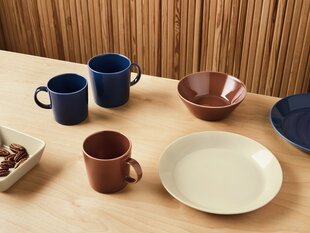 Iittala сервировочная тарелка Teema, 16x16 см цена и информация | Посуда, тарелки, обеденные сервизы | kaup24.ee