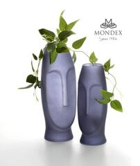 Serenite ваза 30 см цена и информация | Vaasid | kaup24.ee
