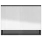 vidaXL vannitoa peegelkapp, 80 x 15 x 60 cm, MDF, säravhall hind ja info | Vannitoakapid | kaup24.ee