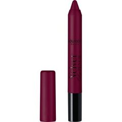 Huulevärv Velvet The Pencil matt Bourjois (3 g): Värvus - 018 - I'm son plumcky цена и информация | Помады, бальзамы, блеск для губ | kaup24.ee