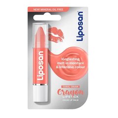 Бальзам для губ Crayon Liposan (3 г): Цвет - Hot Coral цена и информация | Помады, бальзамы, блеск для губ | kaup24.ee