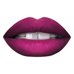 Huulevärv Matte Me Sleek Vedelik Fandango Purple (6 ml) hind ja info | Huulepulgad, -läiked, -palsamid, vaseliin | kaup24.ee