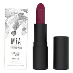 Губная помада Mia Cosmetics Paris (4 г) цена и информация | Помады, бальзамы, блеск для губ | kaup24.ee