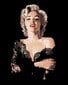 Maalid numbrite järgi "Marilyn Monroe" 40x50 Z-Z3349G hind ja info | Maalid numbri järgi | kaup24.ee