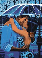 Maalid numbrite järgi "Kissing in the rain" 40x60 RO143G hind ja info | Maalid numbri järgi | kaup24.ee