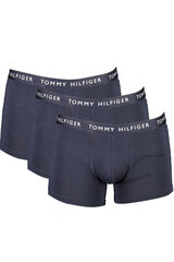 Meeste aluspüksid Tommy Hilfiger UM0UM02203, 2 tk цена и информация | Мужские трусы | kaup24.ee