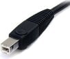 StarTech, DP4N1USB6 USB, DisplayPort, Audio, 1.8 m цена и информация | Kaablid ja juhtmed | kaup24.ee