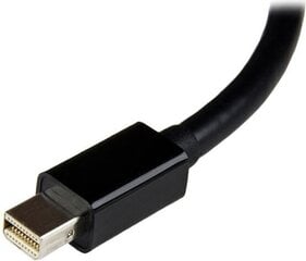 Адаптер StarTech MDP2DVI3, DisplayPort Mini - DVI-I цена и информация | Адаптеры и USB-hub | kaup24.ee