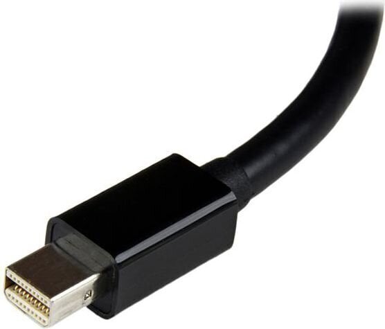 Adapter StarTech MDP2DVI3, DisplayPort Mini - DVI-I цена и информация | USB jagajad, adapterid | kaup24.ee