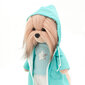 Lucky Doggy: rõivakomplekt Vihmane päev hind ja info | Tüdrukute mänguasjad | kaup24.ee