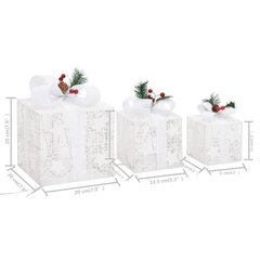 vidaXL dekoratiivsed jõulukingikarbid 3tk, hõbedane, õue ja tuppa цена и информация | Декорации | kaup24.ee