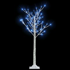 vidaXL jõulupuu 120 LEDi 1,2 m, sinine paju, tuppa/õue цена и информация | Рождественские украшения | kaup24.ee