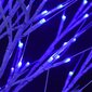 vidaXL jõulupuu 200 LEDi 2,2 m, sinine paju, tuppa/õue hind ja info | Jõulukaunistused | kaup24.ee