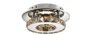 LED laevalgusti Crystal Round, 3000K hind ja info | Laelambid | kaup24.ee