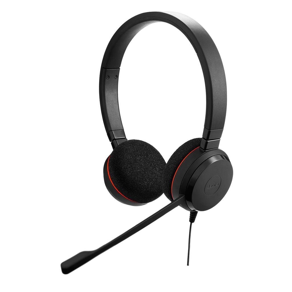 Jabra Evolve 20 Duo hind ja info | Kõrvaklapid | kaup24.ee