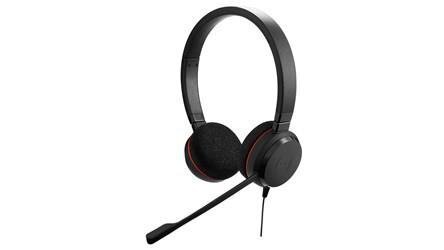 Jabra Evolve 20 Duo hind ja info | Kõrvaklapid | kaup24.ee